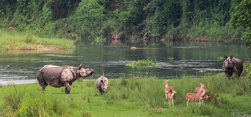 Chitwan image gallery